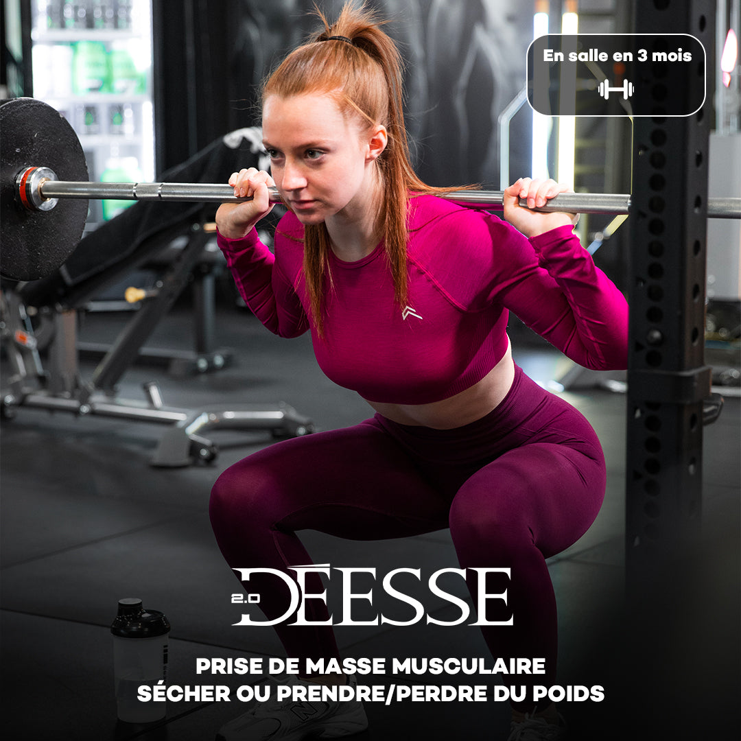 Programme DEESSE