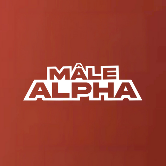 Programme MALE ALPHA